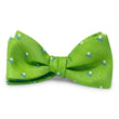 Load image into Gallery viewer, Golf Ball & Tee: Bow - Lime