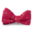 Load image into Gallery viewer, Golf Ball & Tee: Bow - Red