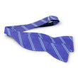 Load image into Gallery viewer, McFerrin: Bow - Violet