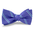 Load image into Gallery viewer, McFerrin: Bow - Violet