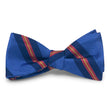 Load image into Gallery viewer, Belmont Hill: Bow - Blue