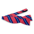 Load image into Gallery viewer, Belmont Hill: Bow - Red