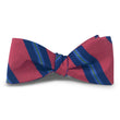 Load image into Gallery viewer, Belmont Hill: Bow - Red