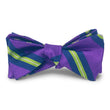 Load image into Gallery viewer, Belmont Hill: Bow - Purple