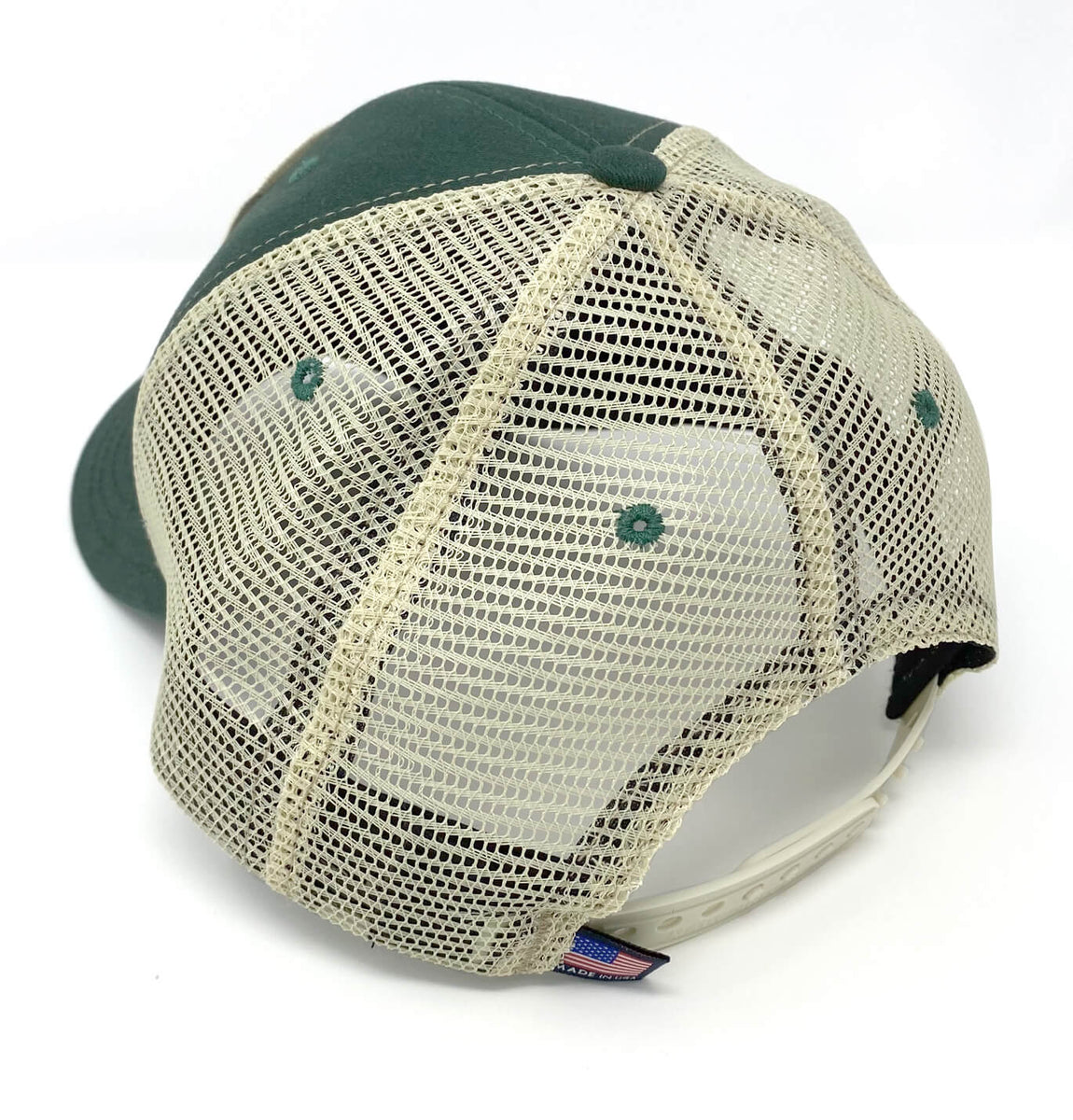 back_green_beb8bfe3-163b-45a7-