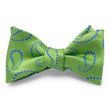 Load image into Gallery viewer, Campania: Bow - Green