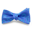 Load image into Gallery viewer, Campania: Bow - Periwinkle