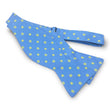 Load image into Gallery viewer, Montpelier: Bow - Blue