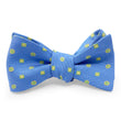 Load image into Gallery viewer, Montpelier: Bow - Blue