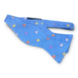 Load image into Gallery viewer, Trunks: Bow - Blue