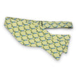 Load image into Gallery viewer, Upstream: Bow - Yellow