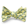 Load image into Gallery viewer, Upstream: Bow - Yellow