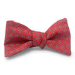 Load image into Gallery viewer, Circle Cross: Bow - Red