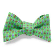 Load image into Gallery viewer, Jack Ass: Bow - Green/Blue