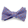 Load image into Gallery viewer, New Pine: Bow - Blue