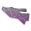 Load image into Gallery viewer, Paisley: Bow - Green/Pink
