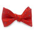 Load image into Gallery viewer, Square Foulard: Bow - Red/Blue