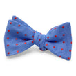 Load image into Gallery viewer, Bromley: Bow - Blue/Red