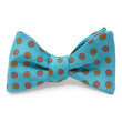Load image into Gallery viewer, Camden: Bow - Aqua