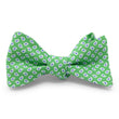 Load image into Gallery viewer, Dunford: Bow - Green
