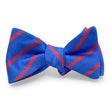 Load image into Gallery viewer, Hartfield: Bow - Blue