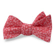 Load image into Gallery viewer, Liberty Derbyshire: Bow - Coral