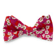 Load image into Gallery viewer, Liberty Coleton: Bow - Pink