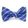 Load image into Gallery viewer, Sloan: Bow - Periwinkle