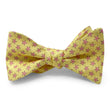 Load image into Gallery viewer, Star Fish: Bow - Yellow