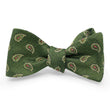 Load image into Gallery viewer, Albemarle: Bow - Green