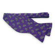 Load image into Gallery viewer, Albemarle: Bow - Purple