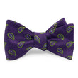 Load image into Gallery viewer, Albemarle: Bow - Purple
