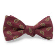 Load image into Gallery viewer, Albemarle: Bow - Pink