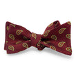 Load image into Gallery viewer, Albemarle: Bow - Red
