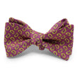 Load image into Gallery viewer, Amherst: Bow - Red