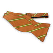 Load image into Gallery viewer, Brunswick: Bow - Orange
