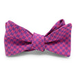 Load image into Gallery viewer, Highland: Bow - Pink
