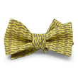 Load image into Gallery viewer, Trout: Bow - Yellow