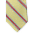 Load image into Gallery viewer, Allison: Tie - Yellow