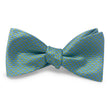 Load image into Gallery viewer, Cary: Bow - Green