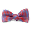 Load image into Gallery viewer, Cary: Bow - Red