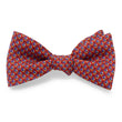 Load image into Gallery viewer, Sail Away: Bow - Red