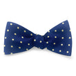 Load image into Gallery viewer, Broughton: Bow - Navy