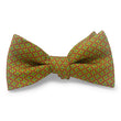 Load image into Gallery viewer, Criss Cross: Bow - Orange