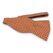 Load image into Gallery viewer, Morocco: Bow - Coral