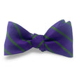 Load image into Gallery viewer, Quailridge: Bow - Purple