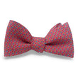 Load image into Gallery viewer, Anchored In: Bow - Pink