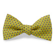 Load image into Gallery viewer, Anchored In: Bow - Yellow
