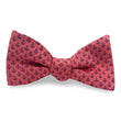 Load image into Gallery viewer, Anchor: Bow - Coral