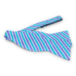 Load image into Gallery viewer, Belize: Bow - Aqua